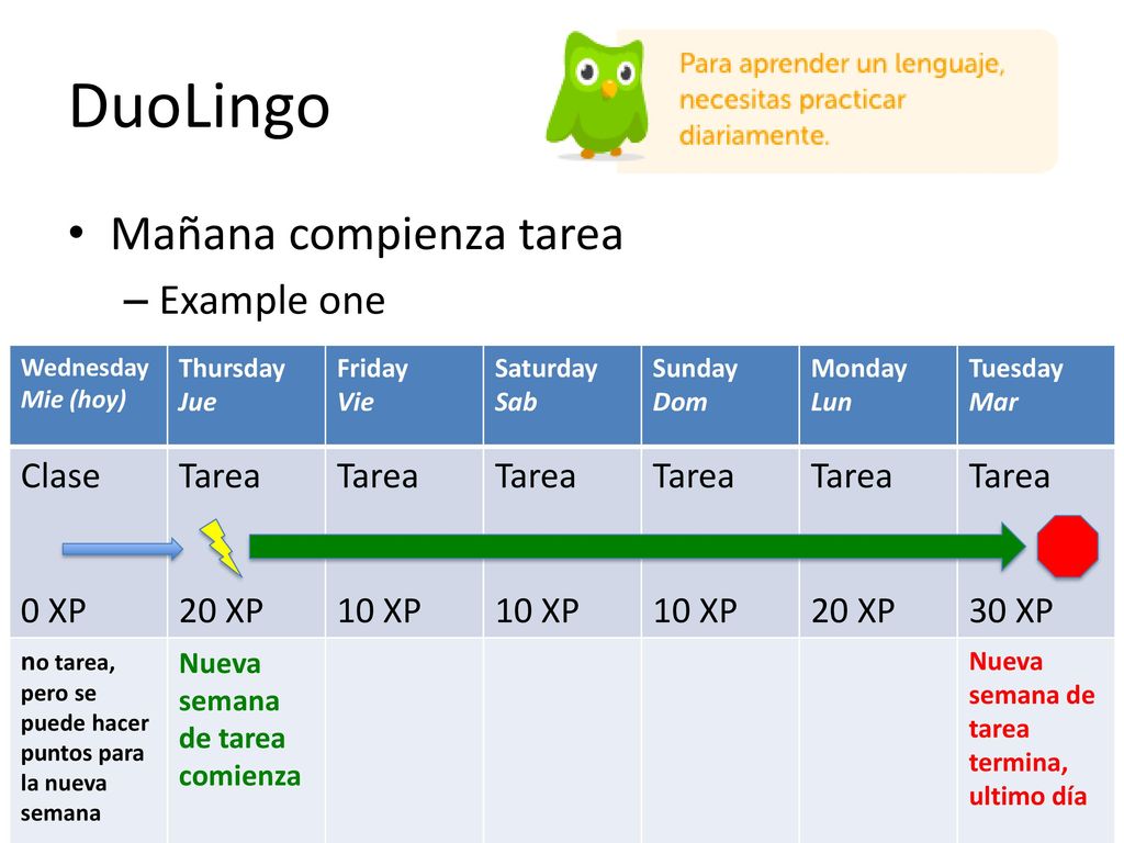DuoLingo Mañana compienza tarea Example one Clase 0 XP Tarea 20 XP