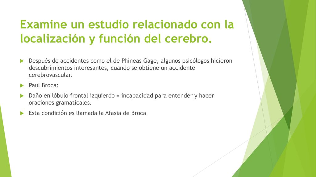 Examine un estudio relacionado con la localización y función del cerebro.