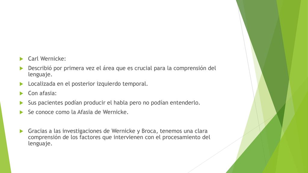 Carl Wernicke: Describió por primera vez el área que es crucial para la comprensión del lenguaje. Localizada en el posterior izquierdo temporal.