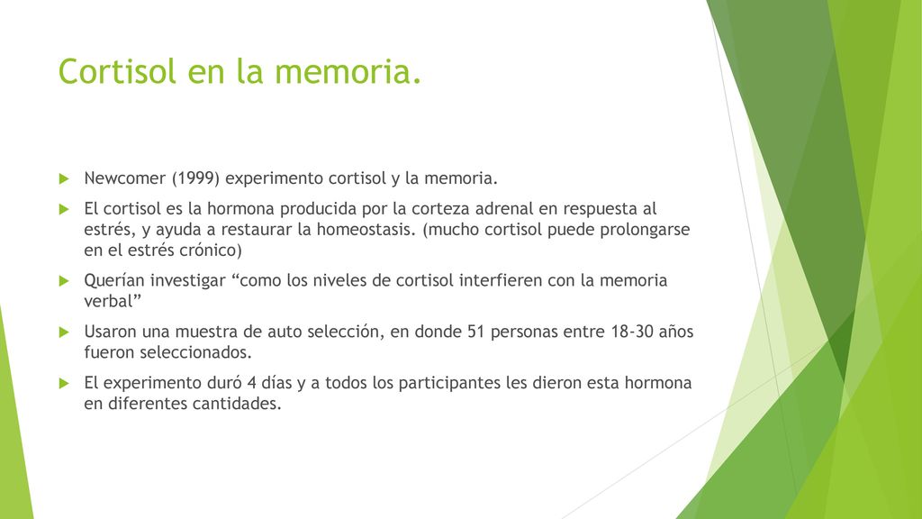 Cortisol en la memoria. Newcomer (1999) experimento cortisol y la memoria.