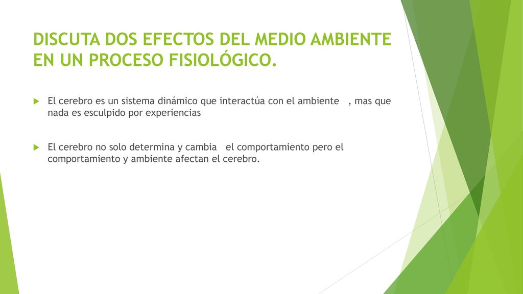 DISCUTA DOS EFECTOS DEL MEDIO AMBIENTE EN UN PROCESO FISIOLÓGICO.
