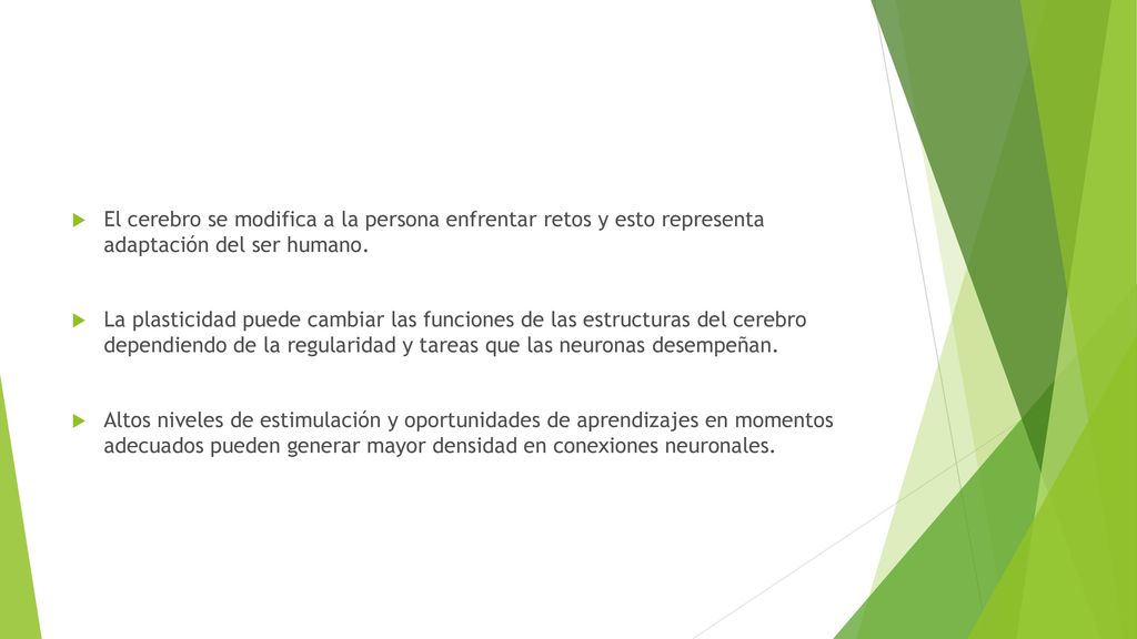 El cerebro se modifica a la persona enfrentar retos y esto representa adaptación del ser humano.