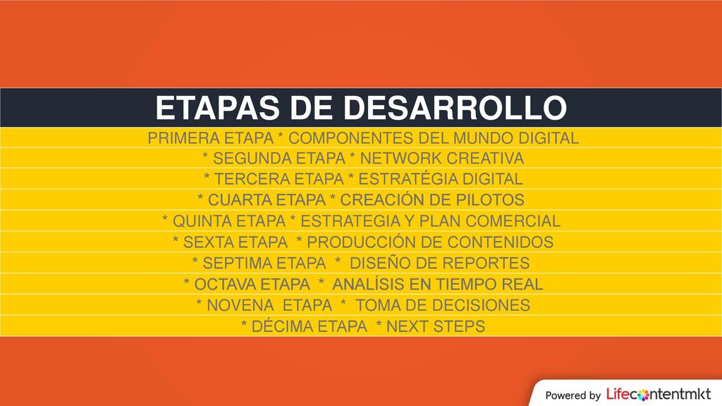 ETAPAS DE DESARROLLO PRIMERA ETAPA * COMPONENTES DEL MUNDO DIGITAL