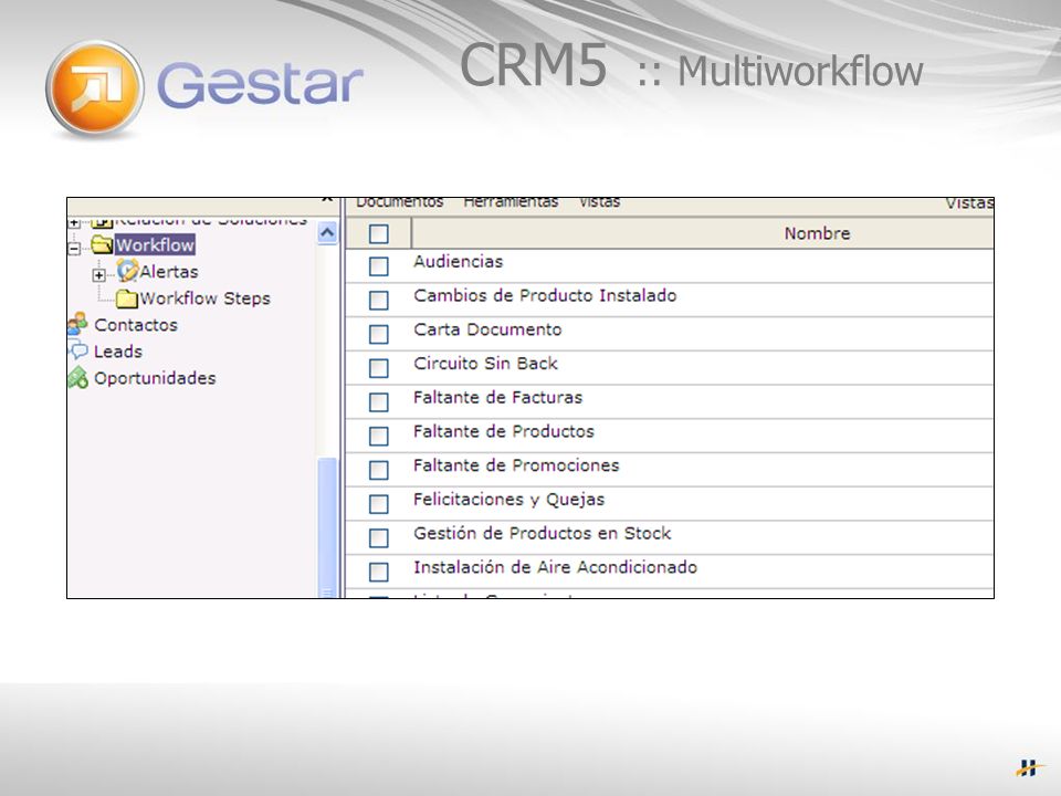CRM5 :: Multiworkflow
