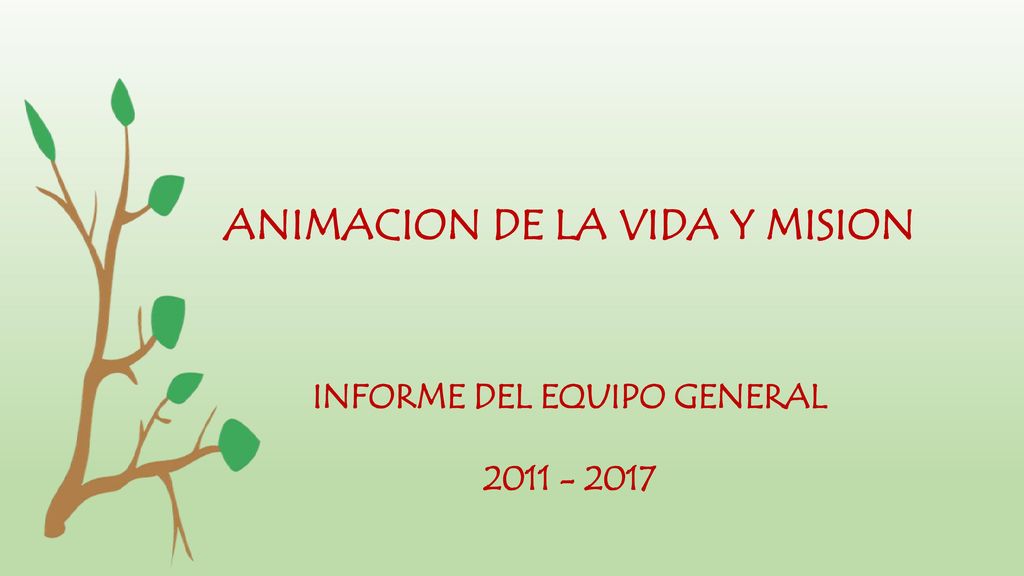 ANIMACION DE LA VIDA Y MISION INFORME DEL EQUIPO GENERAL