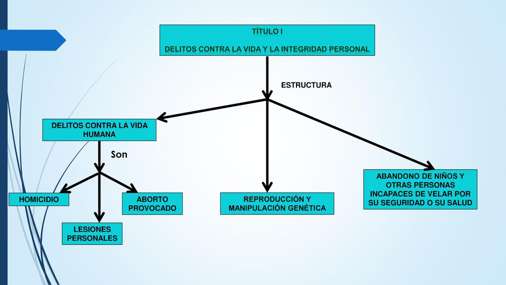 Son Título i Delitos contra la vida y la integridad personal