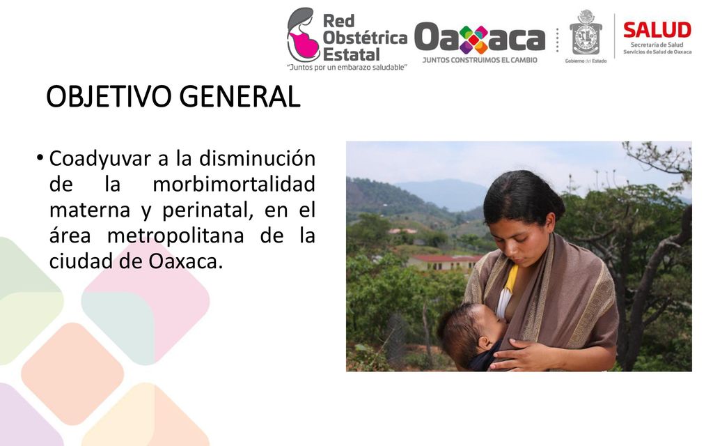 OBJETIVO GENERAL Coadyuvar a la disminución de la morbimortalidad materna y perinatal, en el área metropolitana de la ciudad de Oaxaca.