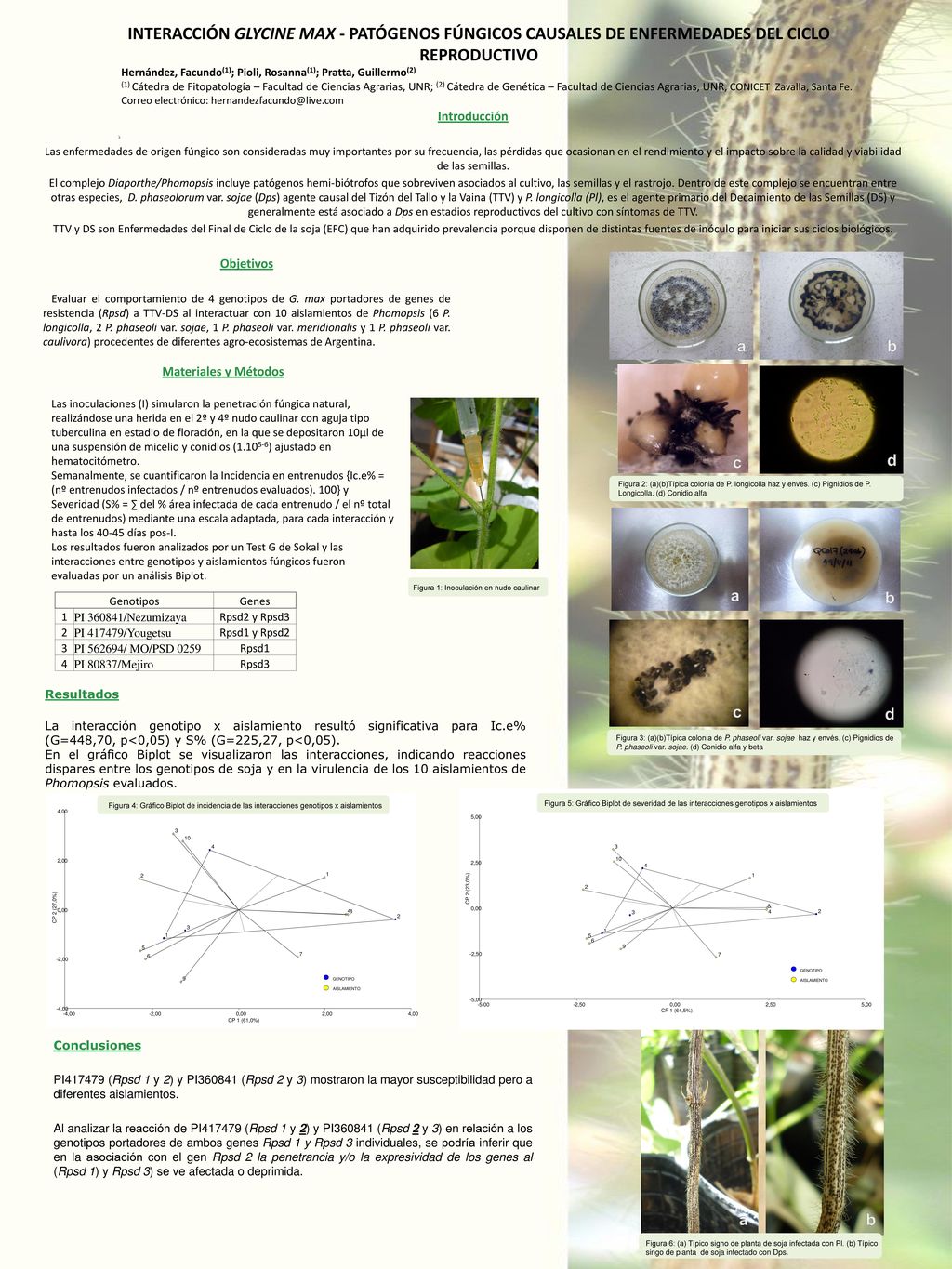 Interacción Glycine max - patógenos fúngicos causales de enfermedades del ciclo reproductivo