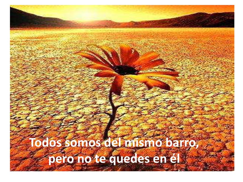 Todos somos del mismo barro, pero no te quedes en él