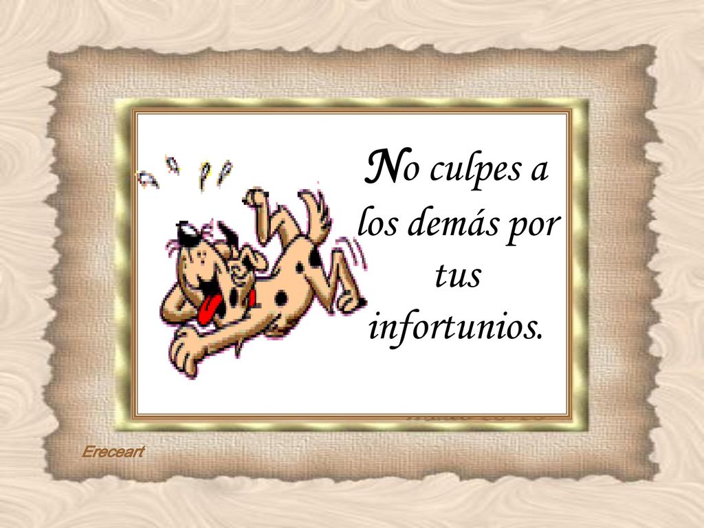 No culpes a los demás por tus infortunios.