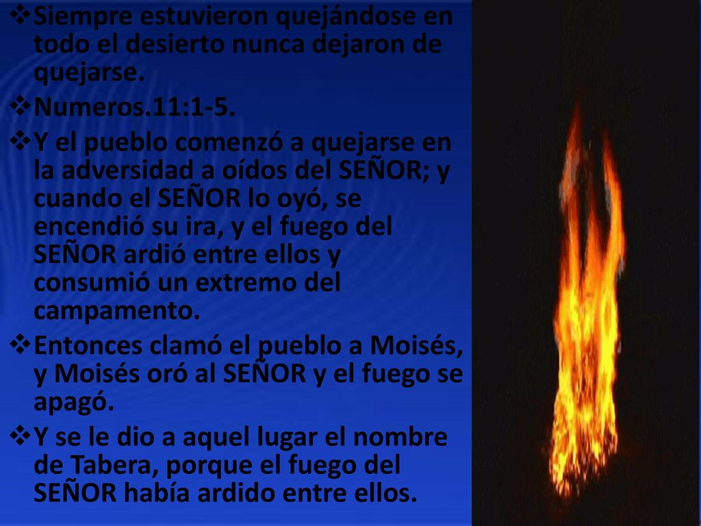 Siempre estuvieron quejándose en todo el desierto nunca dejaron de quejarse.