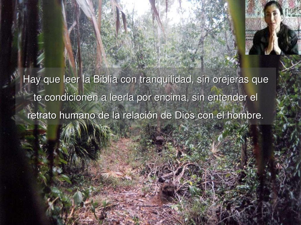 Hay que leer la Biblia con tranquilidad, sin orejeras que te condicionen a leerla por encima, sin entender el retrato humano de la relación de Dios con el hombre.