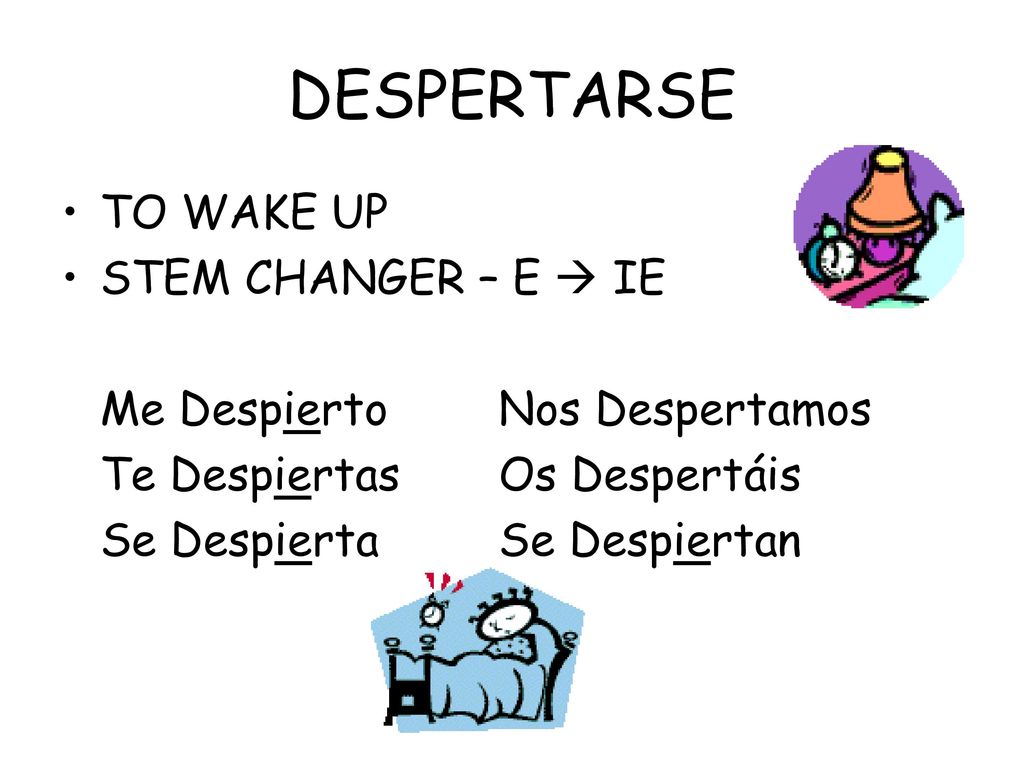 DESPERTARSE TO WAKE UP STEM CHANGER – E  IE