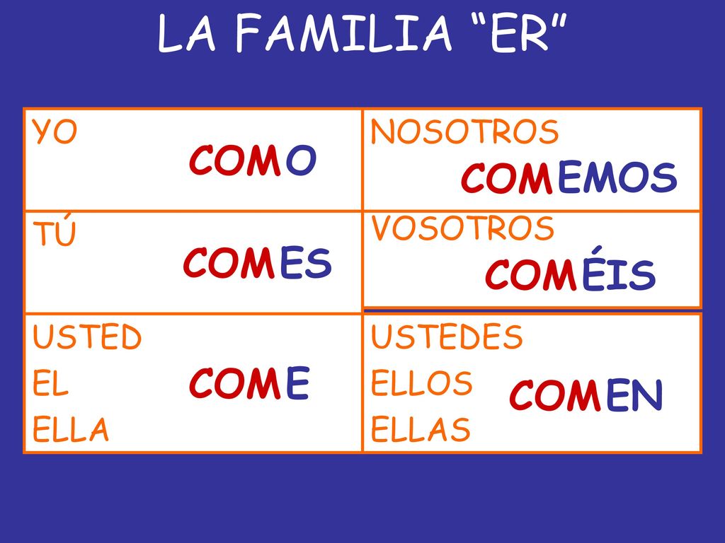 LA FAMILIA ER COM O COM EMOS COM ES COM ÉIS COM E COM EN YO NOSOTROS