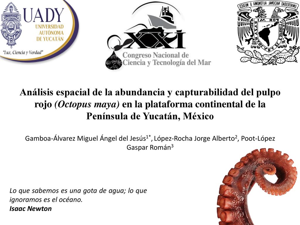 Análisis espacial de la abundancia y capturabilidad del pulpo rojo (Octopus maya) en la plataforma continental de la Península de Yucatán, México