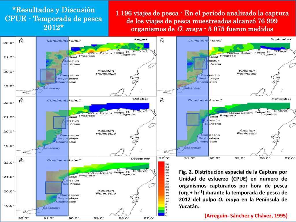 *Resultados y Discusión CPUE - Temporada de pesca 2012*