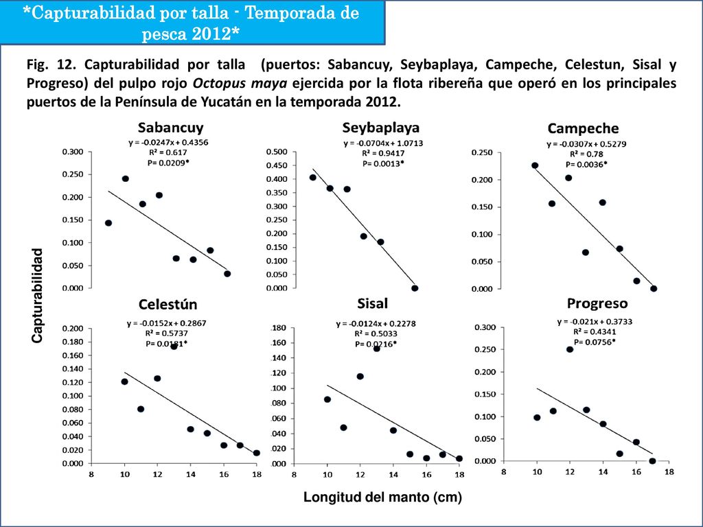 *Capturabilidad por talla - Temporada de pesca 2012*