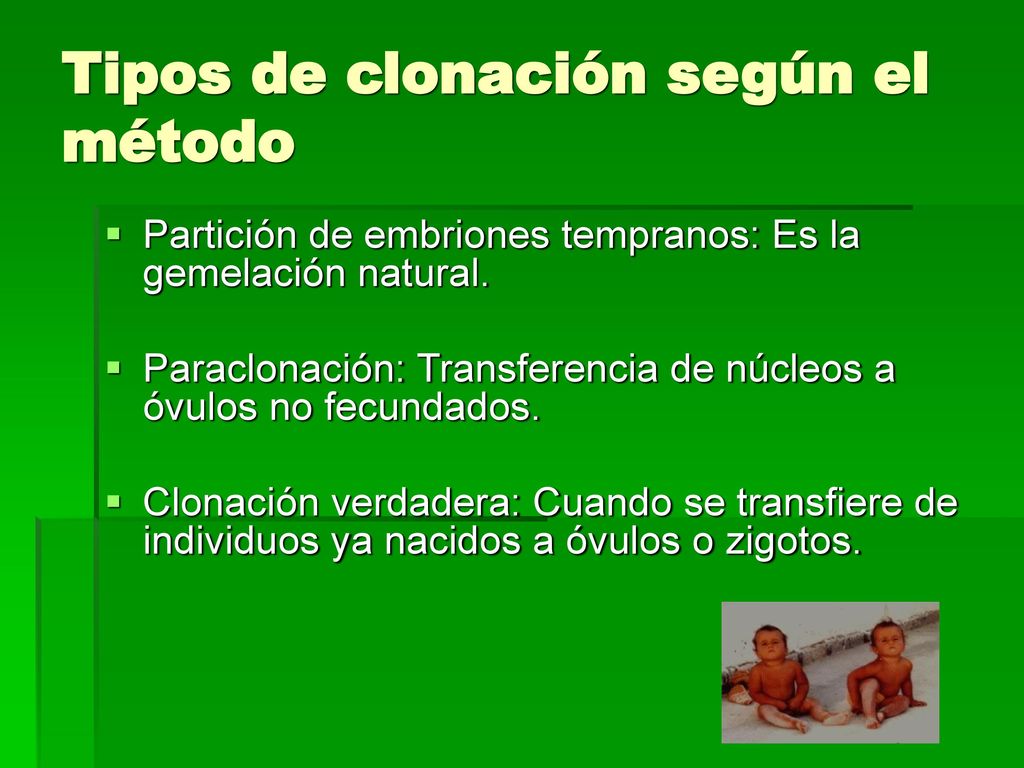 Tipos de clonación según el método