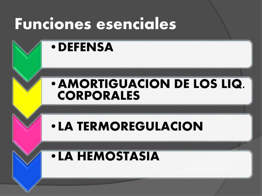 Funciones esenciales DEFENSA AMORTIGUACION DE LOS LIQ. CORPORALES