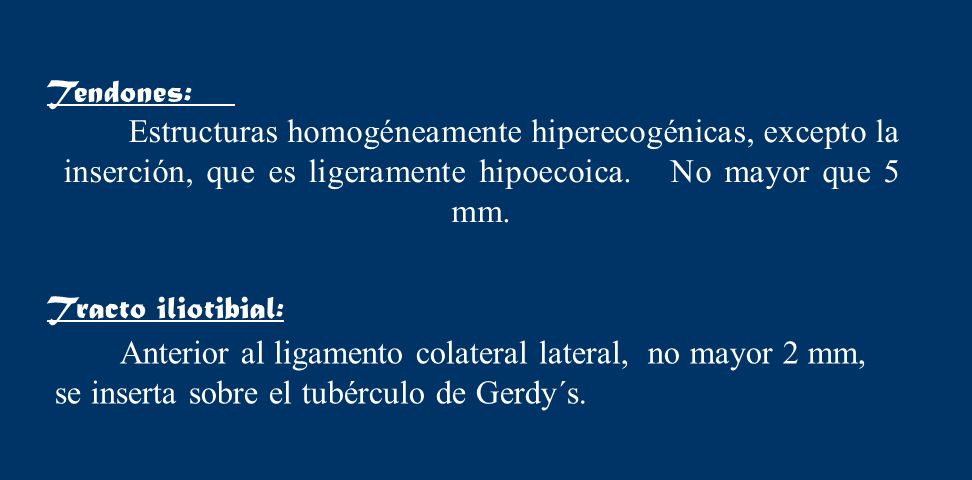 Tendones: Estructuras homogéneamente hiperecogénicas, excepto la inserción, que es ligeramente hipoecoica. No mayor que 5 mm.