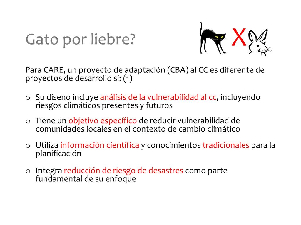 Gato por liebre X. Para CARE, un proyecto de adaptación (CBA) al CC es diferente de proyectos de desarrollo si: (1)