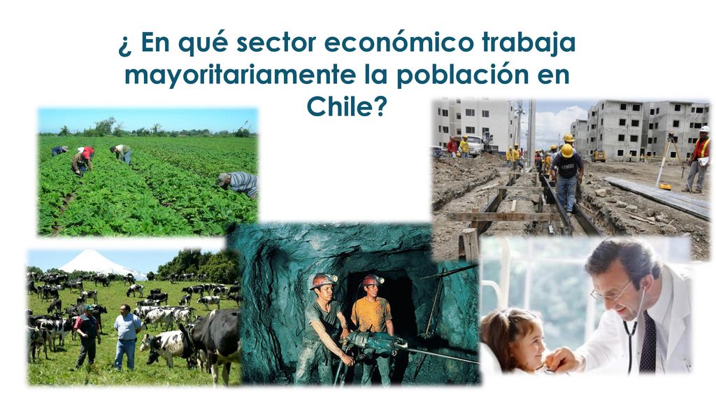 ¿ En qué sector económico trabaja mayoritariamente la población en Chile
