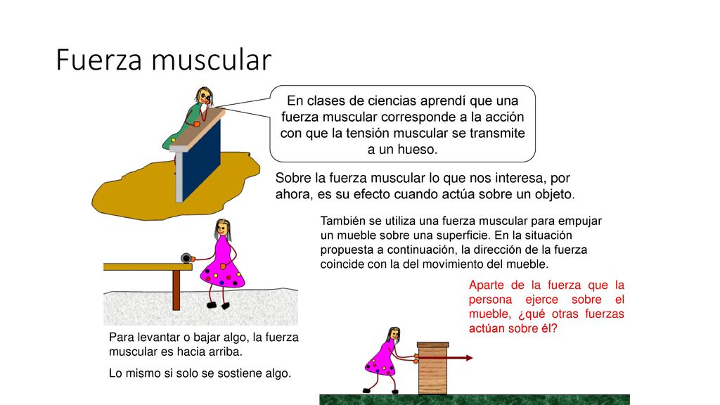 Fuerza muscular En clases de ciencias aprendí que una fuerza muscular corresponde a la acción con que la tensión muscular se transmite a un hueso.