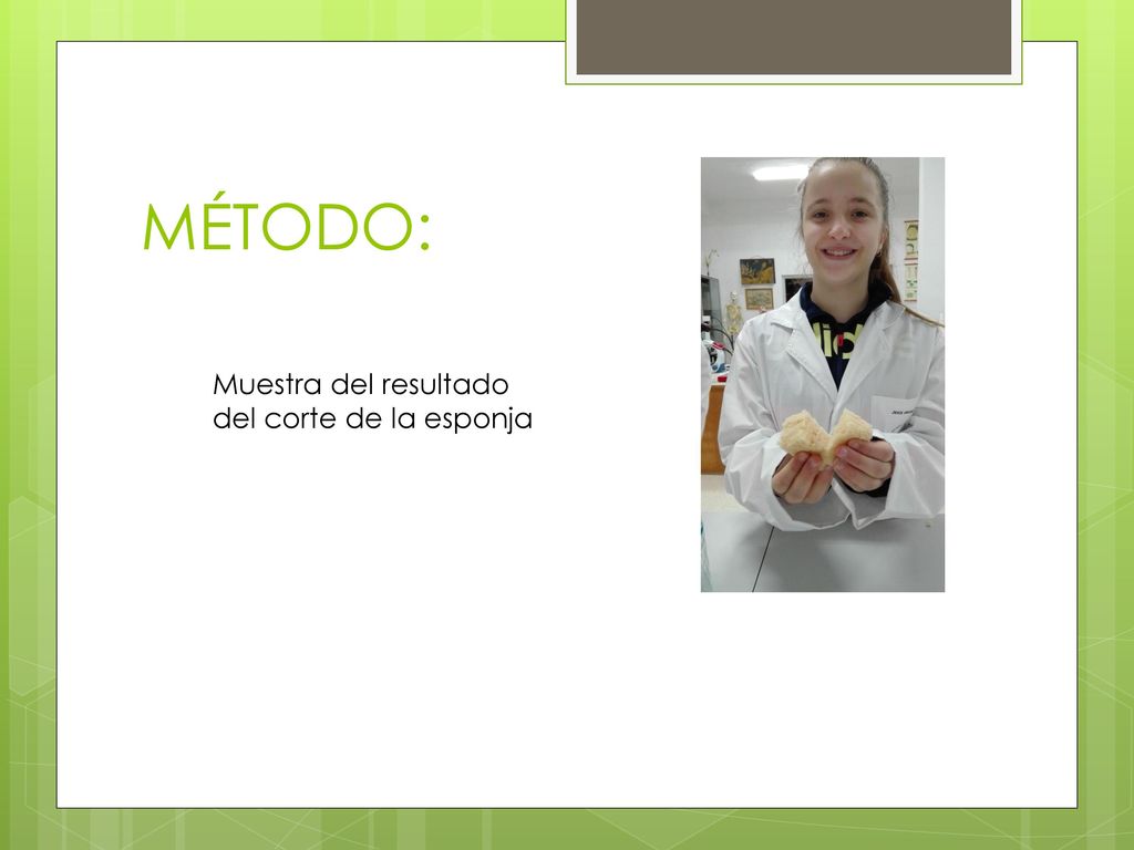 MÉTODO: Muestra del resultado del corte de la esponja