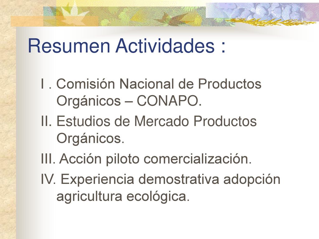 Resumen Actividades : I . Comisión Nacional de Productos Orgánicos – CONAPO. II. Estudios de Mercado Productos Orgánicos.