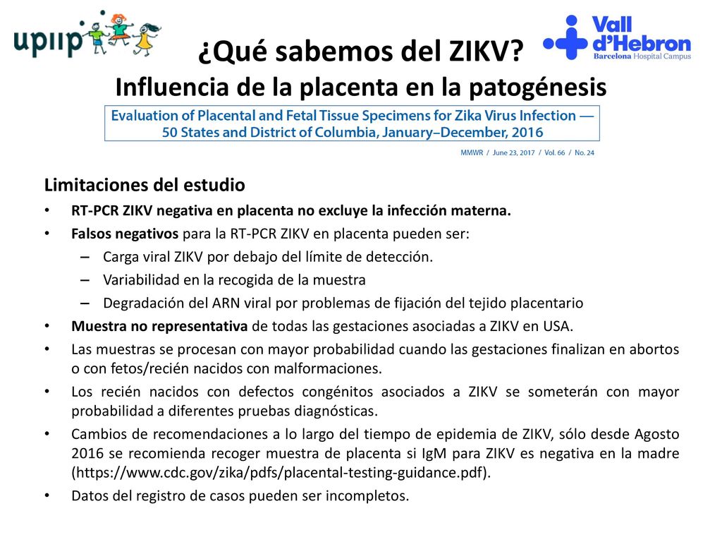 ¿Qué sabemos del ZIKV Influencia de la placenta en la patogénesis