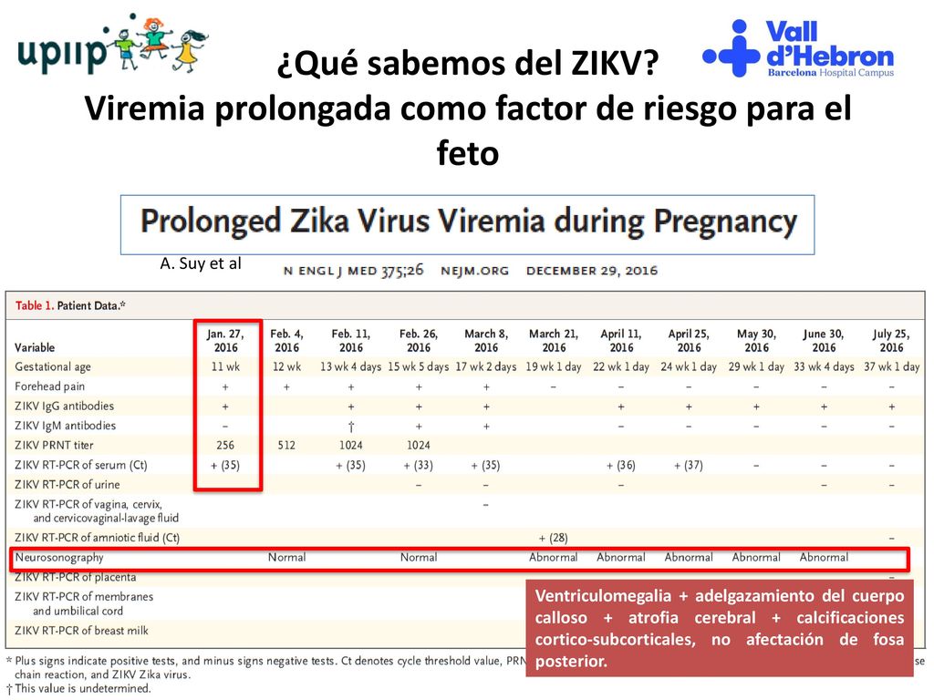¿Qué sabemos del ZIKV Viremia prolongada como factor de riesgo para el feto