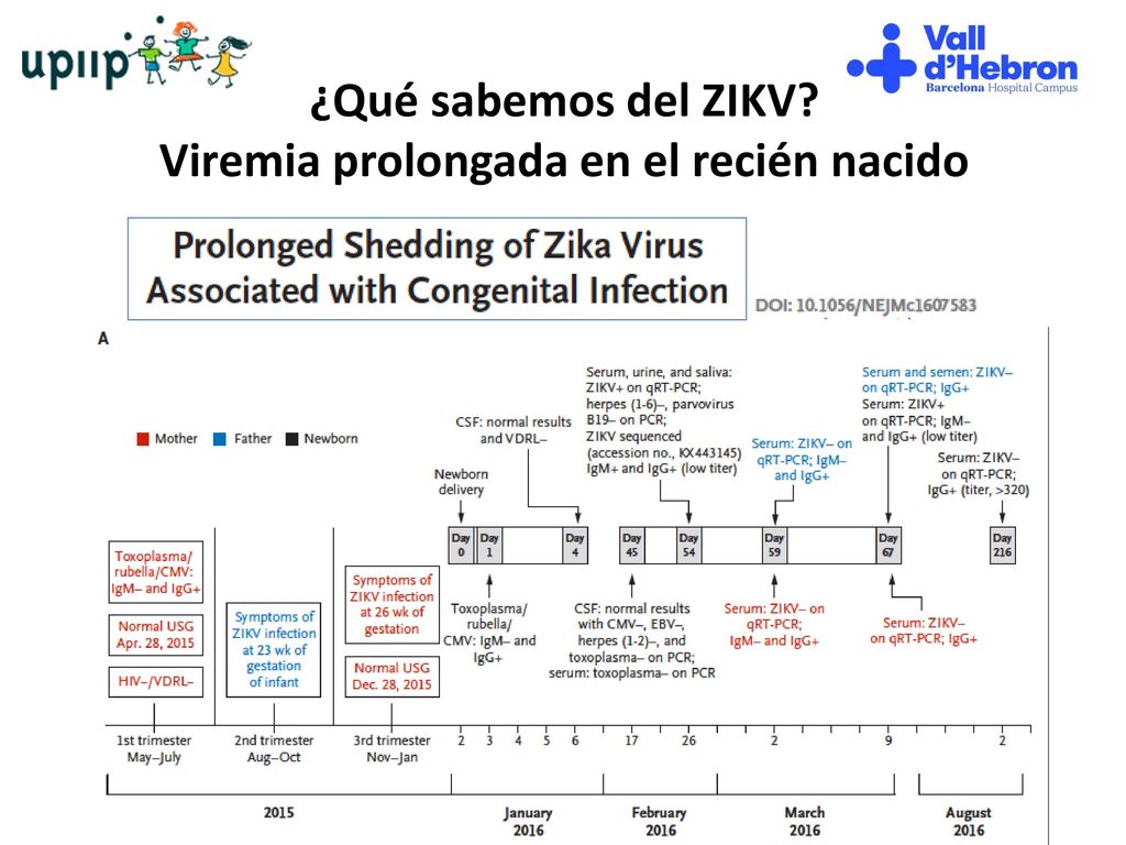 ¿Qué sabemos del ZIKV Viremia prolongada en el recién nacido