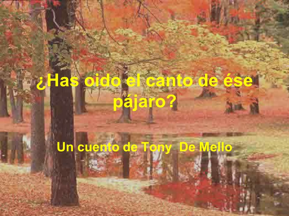 ¿Has oido el canto de ése pájaro