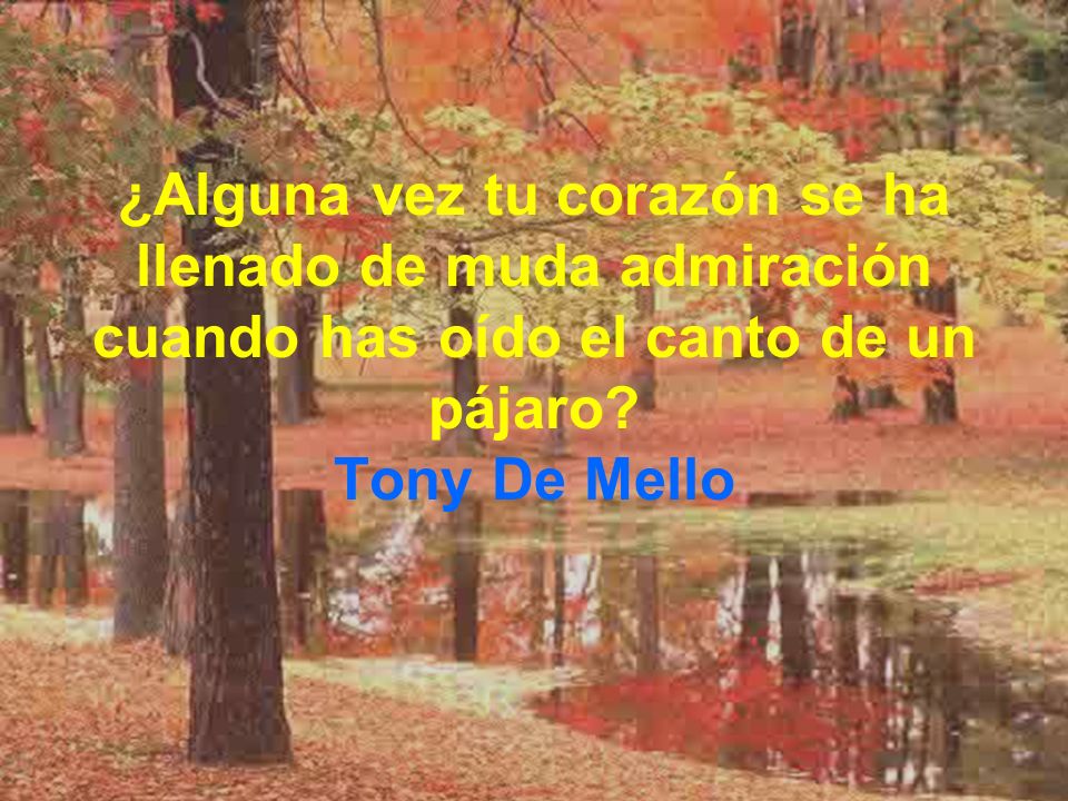 ¿Alguna vez tu corazón se ha llenado de muda admiración cuando has oído el canto de un pájaro.