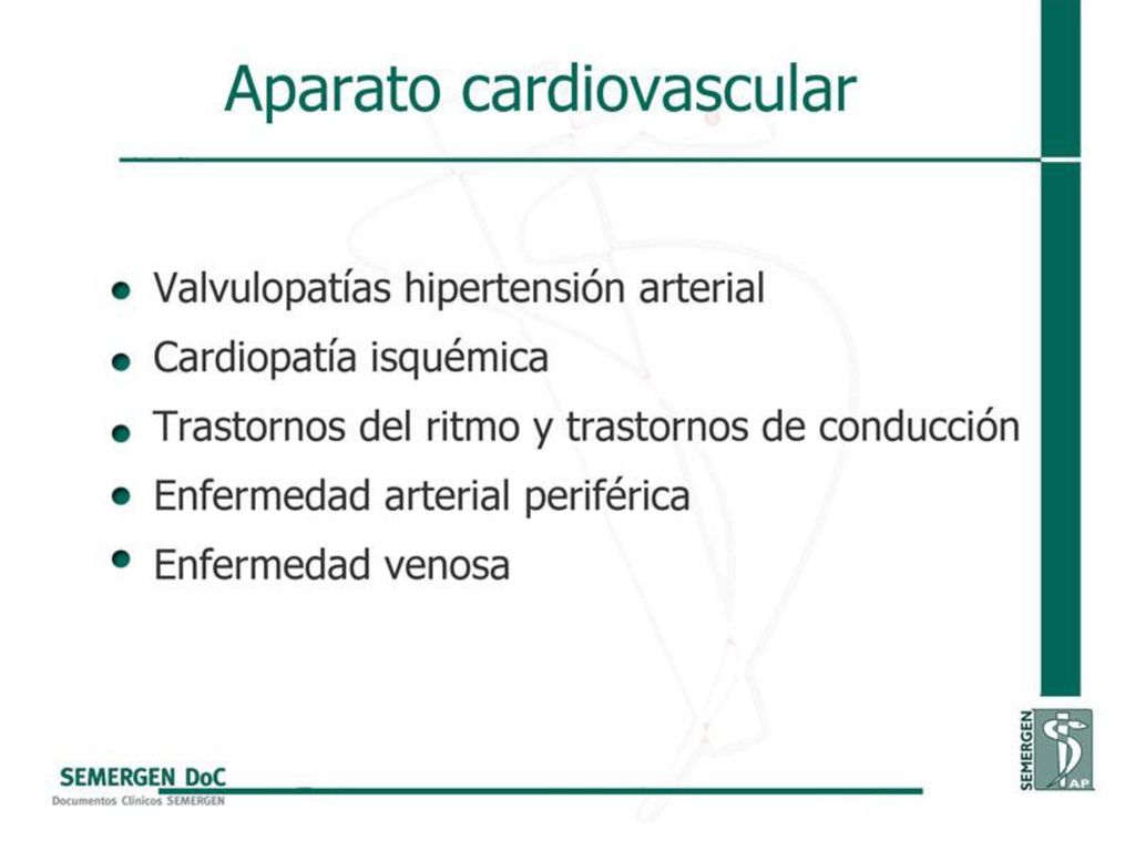 Aparato cardiovascular