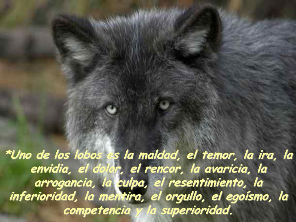 *Uno de los lobos es la maldad, el temor, la ira, la envidia, el dolor, el rencor, la avaricia, la arrogancia, la culpa, el resentimiento, la inferioridad, la mentira, el orgullo, el egoísmo, la competencia y la superioridad.
