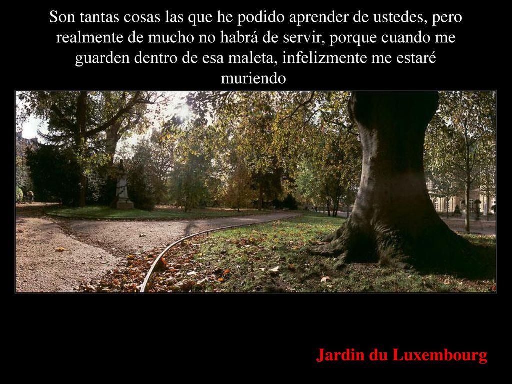 Son tantas cosas las que he podido aprender de ustedes, pero realmente de mucho no habrá de servir, porque cuando me guarden dentro de esa maleta, infelizmente me estaré muriendo.