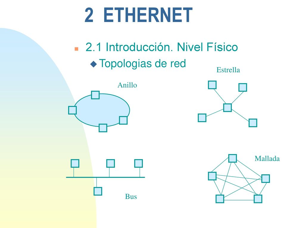 2 ETHERNET 2.1 Introducción. Nivel Físico Topologias de red Estrella