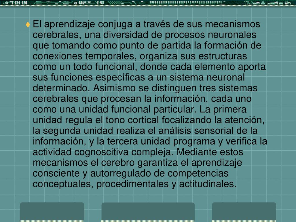 El aprendizaje conjuga a través de sus mecanismos cerebrales, una diversidad de procesos neuronales que tomando como punto de partida la formación de conexiones temporales, organiza sus estructuras como un todo funcional, donde cada elemento aporta sus funciones específicas a un sistema neuronal determinado.