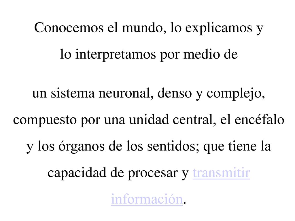 Conocemos el mundo, lo explicamos y lo interpretamos por medio de