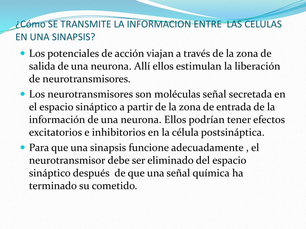 ¿Cómo SE TRANSMITE LA INFORMACION ENTRE LAS CELULAS EN UNA SINAPSIS
