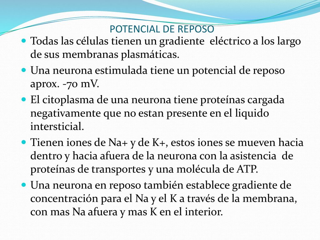 POTENCIAL DE REPOSO Todas las células tienen un gradiente eléctrico a los largo de sus membranas plasmáticas.