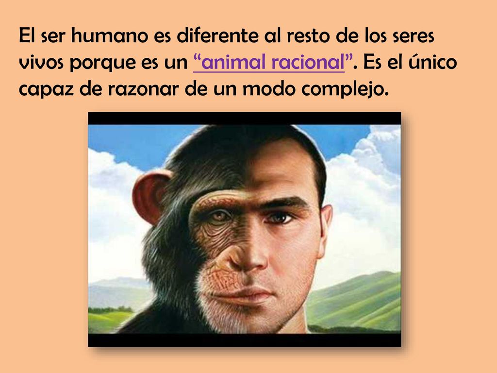 El ser humano es diferente al resto de los seres vivos porque es un animal racional .