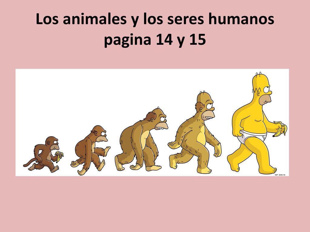 Los animales y los seres humanos pagina 14 y 15