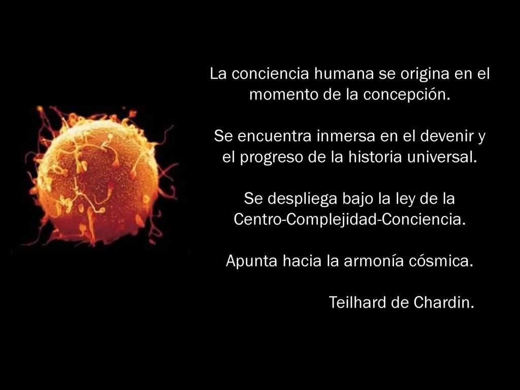 La conciencia humana se origina en el momento de la concepción.