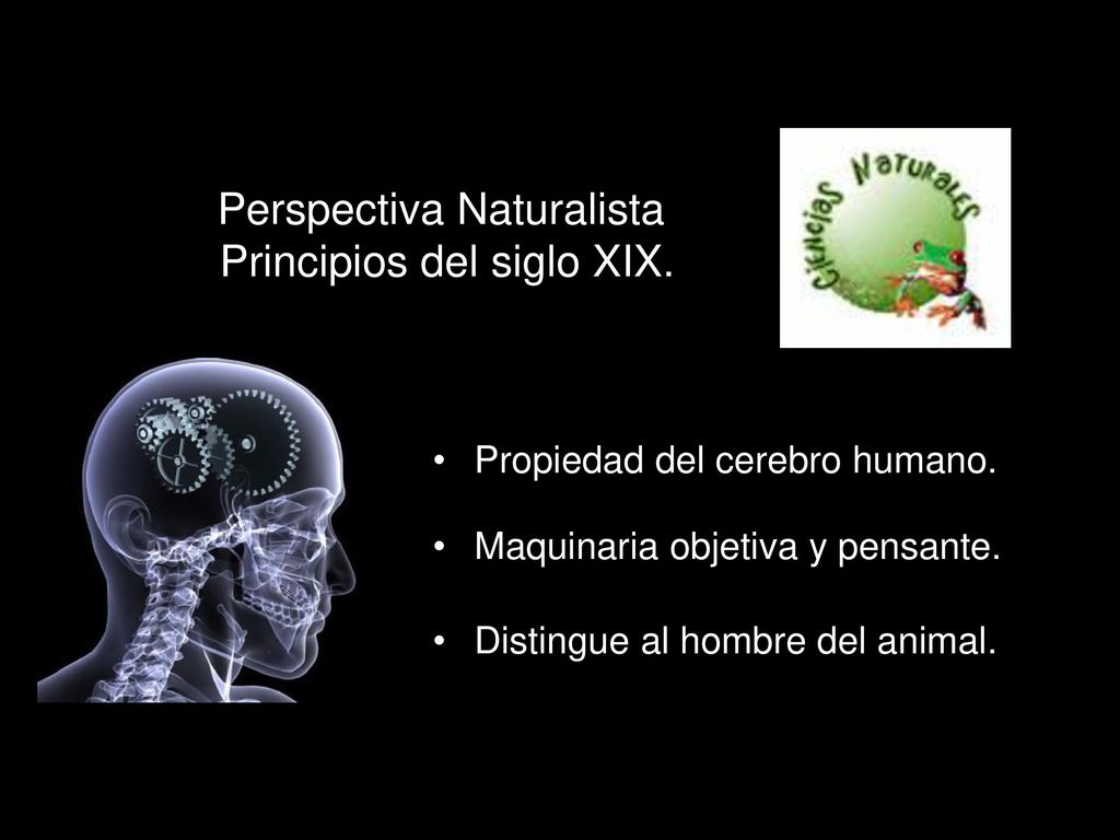 Perspectiva Naturalista Principios del siglo XIX.