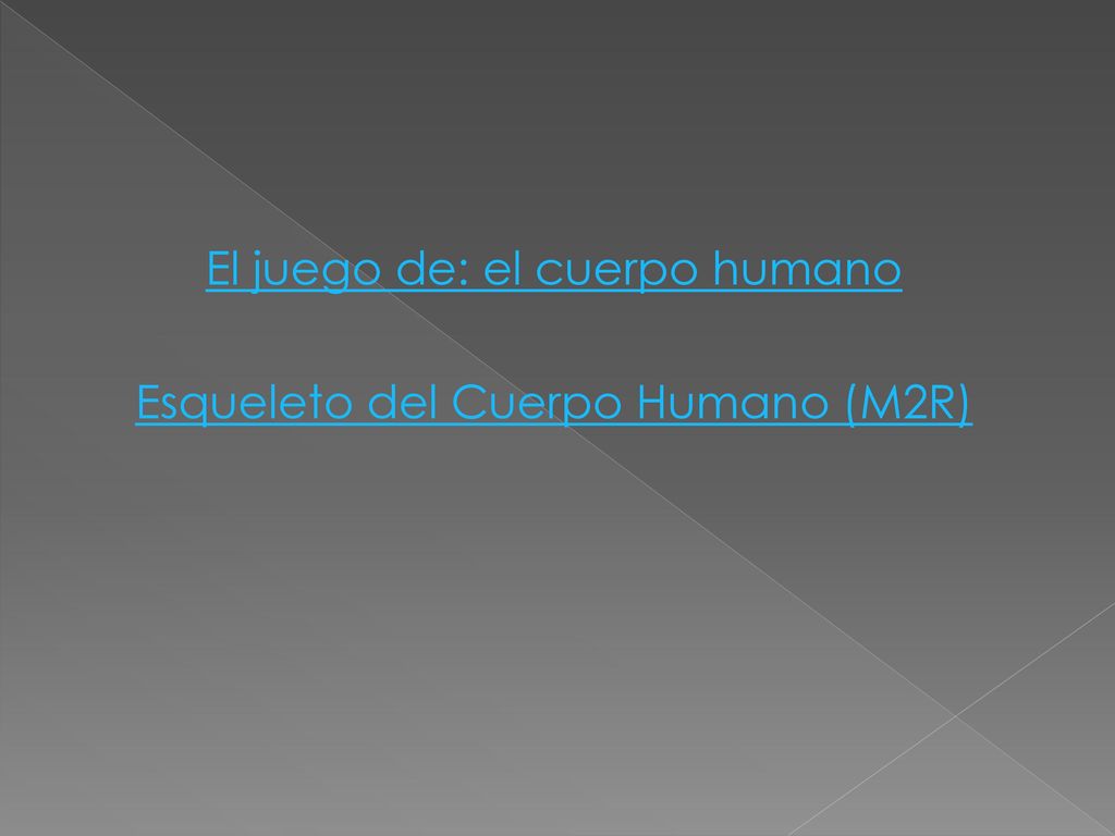El juego de: el cuerpo humano Esqueleto del Cuerpo Humano (M2R)