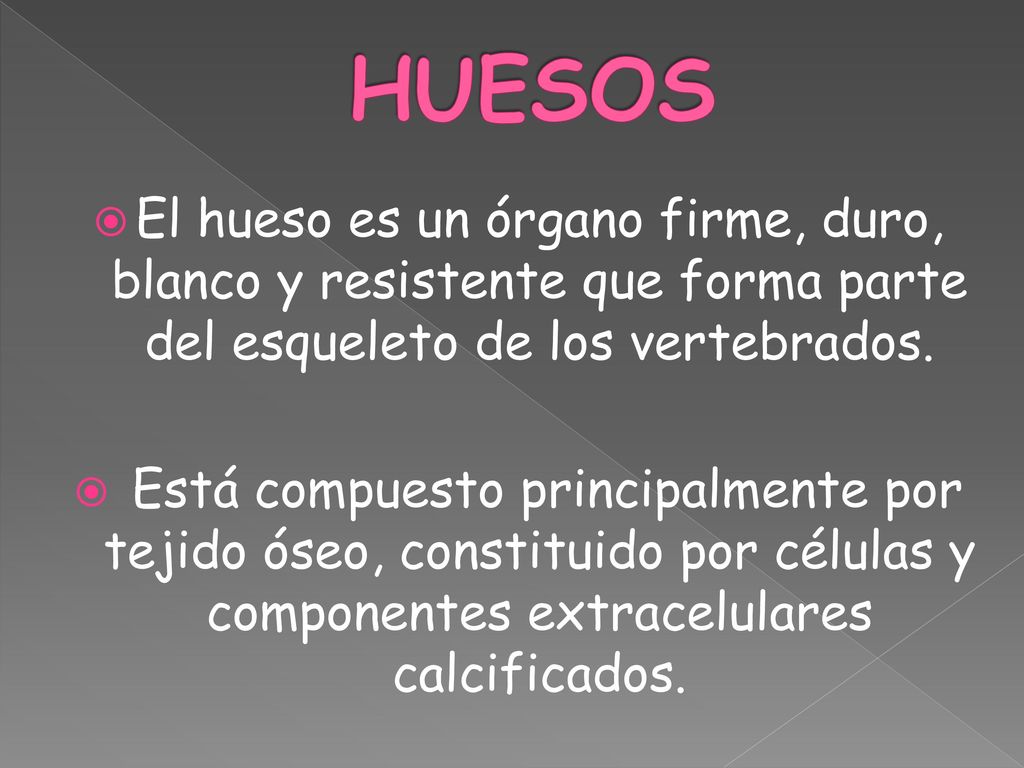 HUESOS El hueso es un órgano firme, duro, blanco y resistente que forma parte del esqueleto de los vertebrados.