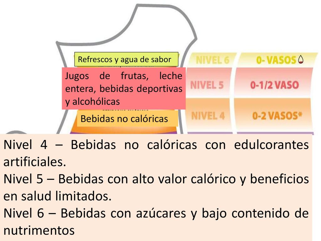 Nivel 4 – Bebidas no calóricas con edulcorantes artificiales.