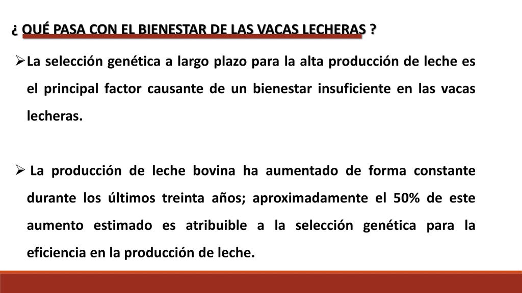 ¿ QUÉ PASA CON EL BIENESTAR DE LAS VACAS LECHERAS